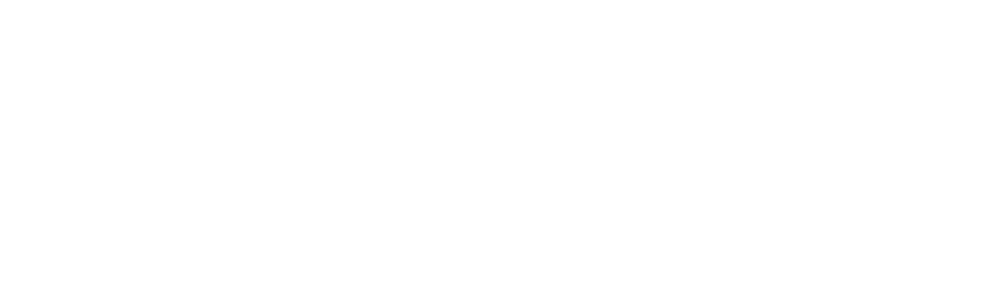 DMG-LG